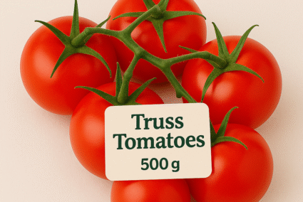 ChatGPT Image Aug 16, 2025, 06_58_46 PM ChatGPT Image Aug 16, 2025, 06_58_46 PM