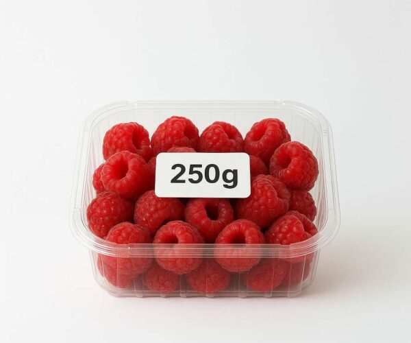 ChatGPT Image Sep 16, 2025, 05_28_05 PM ChatGPT Image Sep 16, 2025, 05_28_05 PM