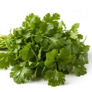 Fresh Coriander Bunch each