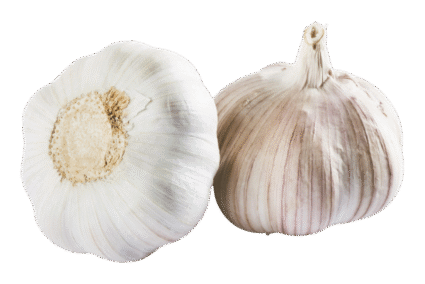 Garlic.png Garlic.png