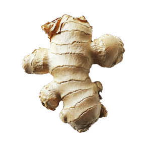 Ginger 100g (Approx)