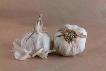 garlic-5366054_1280 garlic-5366054_1280