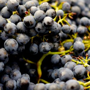 Grapes 500g