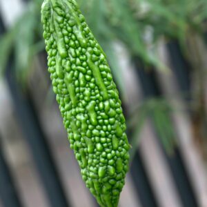 Bitter Melon each
