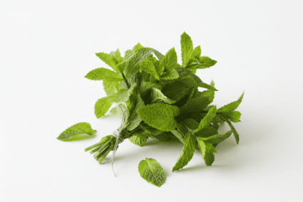 Mint-Leaves-Single Mint-Leaves-Single