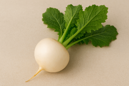 White Turnip – Fresh White Turnip – Fresh