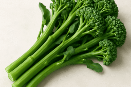 ChatGPT Image Sep 25, 2025, 03_54_43 PM (1) ChatGPT Image Sep 25, 2025, 03_54_43 PM (1)